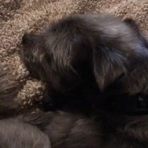 Meet your Posher, Heidi